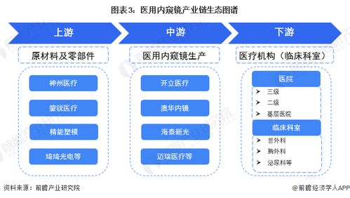 預(yù)見(jiàn)2023 中國(guó)醫(yī)用內(nèi)窺鏡行業(yè)全景圖譜與AI應(yīng)用軟件開(kāi)發(fā)新篇章